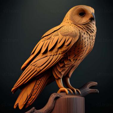 3D model Kenyacus parvus (STL)